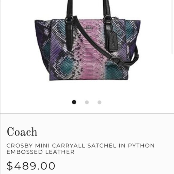 Coach Multicolor Python Embossed and Leather Crosby Carryall Tote - Picture 4 of 5